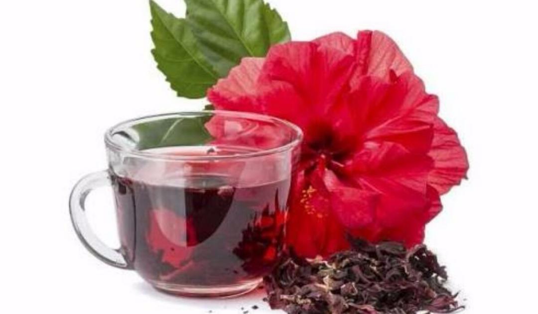 Chá de hibisco e infertilidade, tem alguma relação?