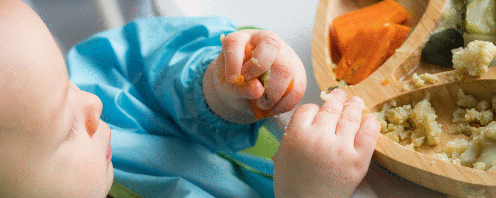 BLW - Baby Led Weaning uma nova forma de introdução alimentar para o bebê